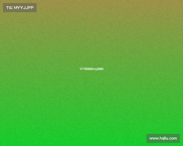 WIR电子竞技、wg电子竞技